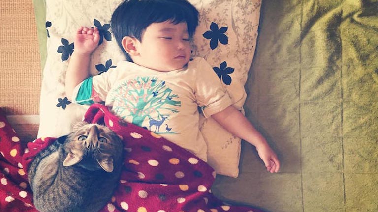 Cukiság: évek óta őrzi a kisgyerek álmát a hűséges cica