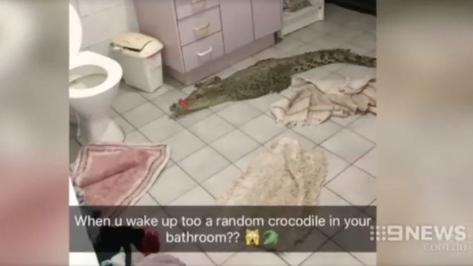 Kétméteres krokodillal viccelték meg a 16 éves lányt