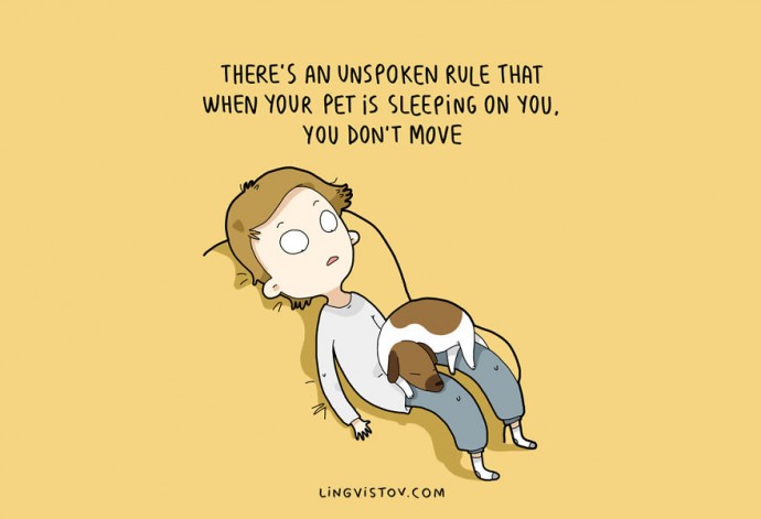 10 illusztráció amit minden kutyatulajdonos átérez
