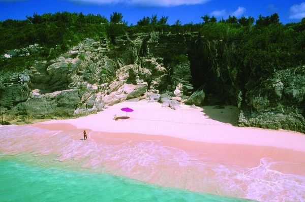 Rózsaszín tengerpart