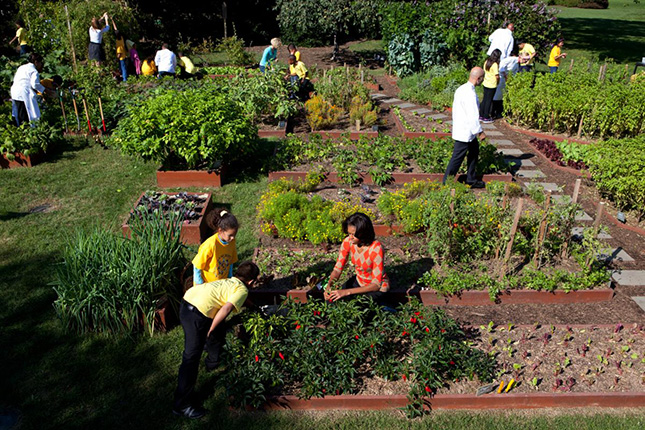 Zöld forradalom: Mrs. Obama divatba hozta a kertészkedést