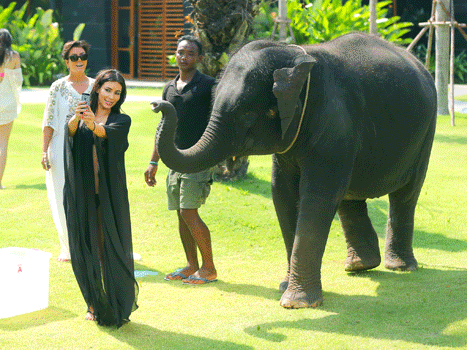 Elefánt támadta meg Kim Kardashiant - fotó
