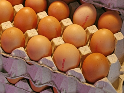 Mit jelentenek a számok a tojáson?