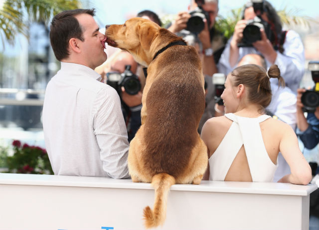 Sztár lett a magyar kutya Cannes-ban