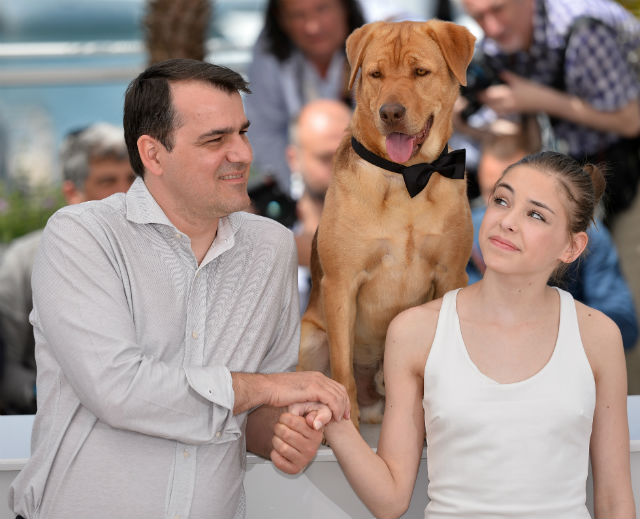 Sztár lett a magyar kutya Cannes-ban
