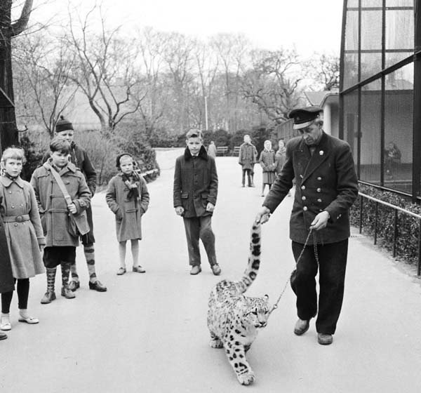 Állatkert 1955-ben - csodás, érdekes fotók