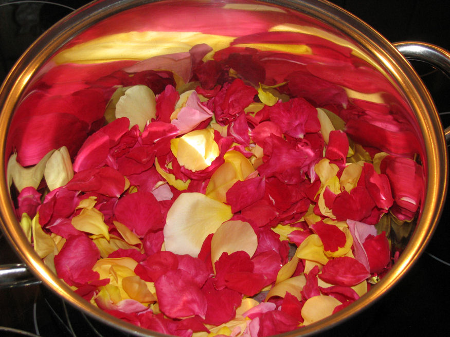 Nyárillatú rózsavizet varázsoltunk illatos szirmokból