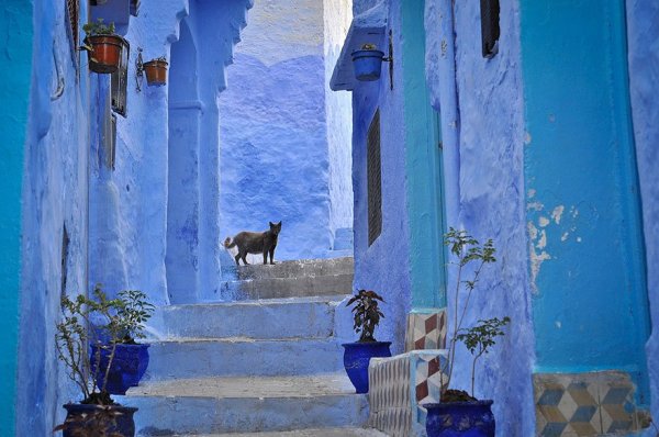 Ennél kékebb nincs - elképesztő fotók Marokkóról