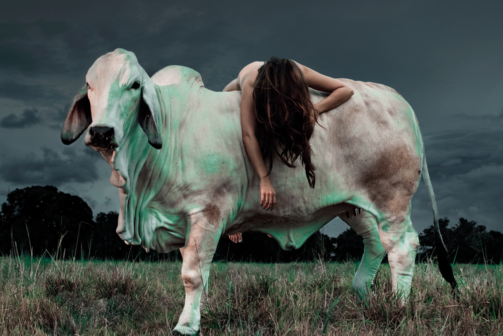 Provokatív: összehasonlította egy tehén és egy nő testét