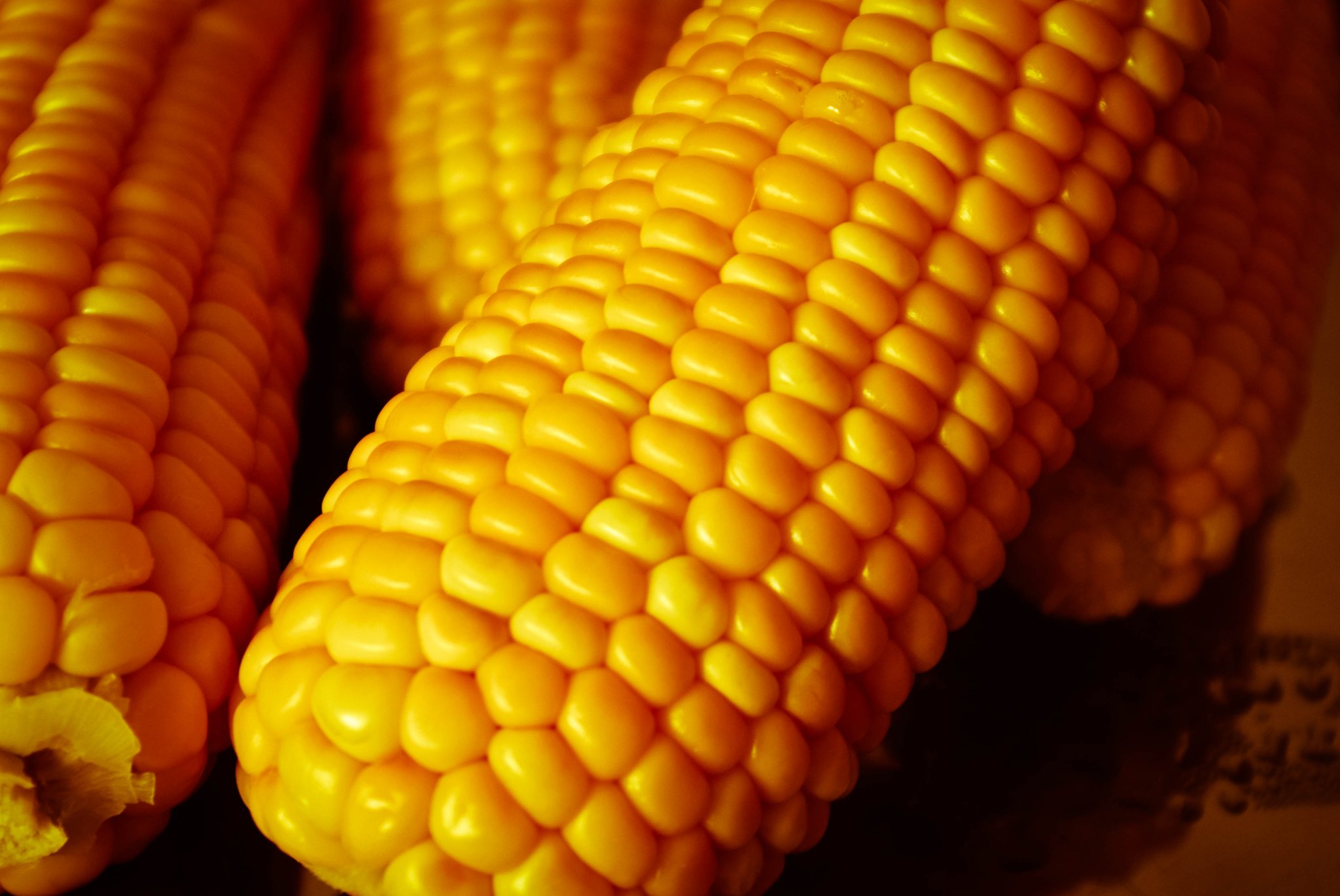 Ha nyár, akkor főtt kukorica: erre figyelj!