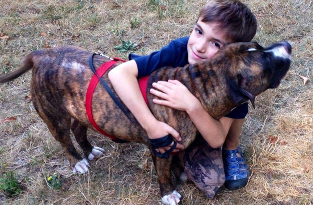 Egy pitbull mentette meg a kisfiú életét