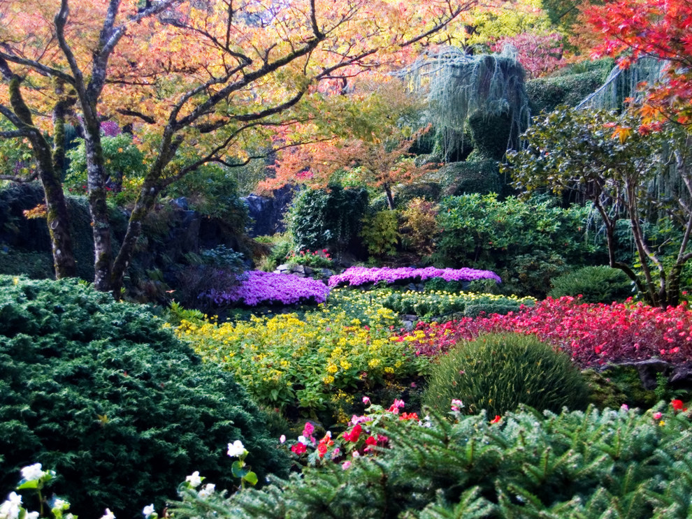 A világ 10 legszebb kertje