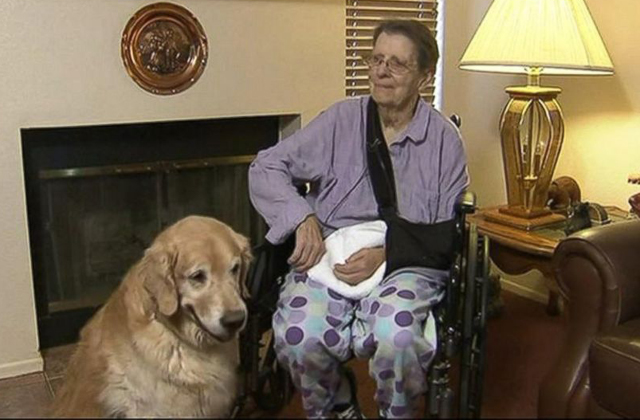 Kutyái mentetétk meg az idős asszony életét