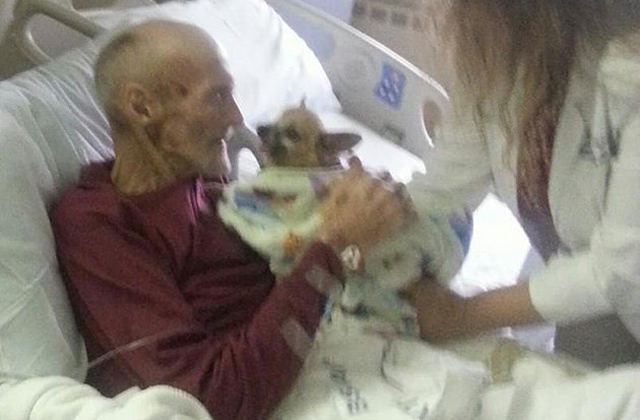 Imádott kutyájának köszönheti gyógyulását az idős férfi - fotó