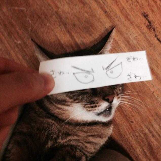 A cicák kamu rajzolt szemekkel feldobják a napod