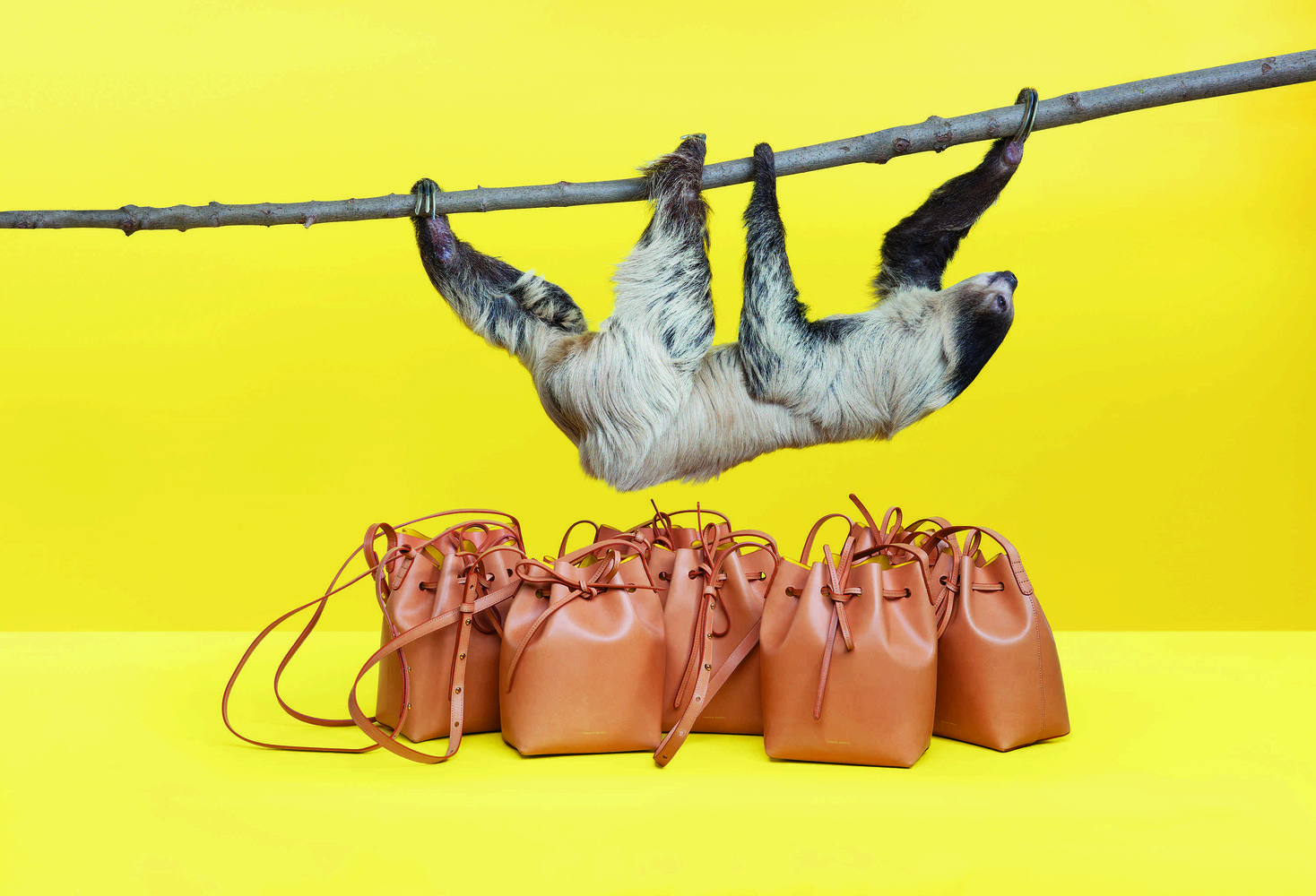 Különleges állatokkal reklámozza táskáit a tervező 