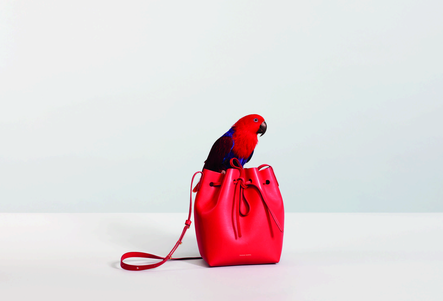 Különleges állatokkal reklámozza táskáit a tervező 