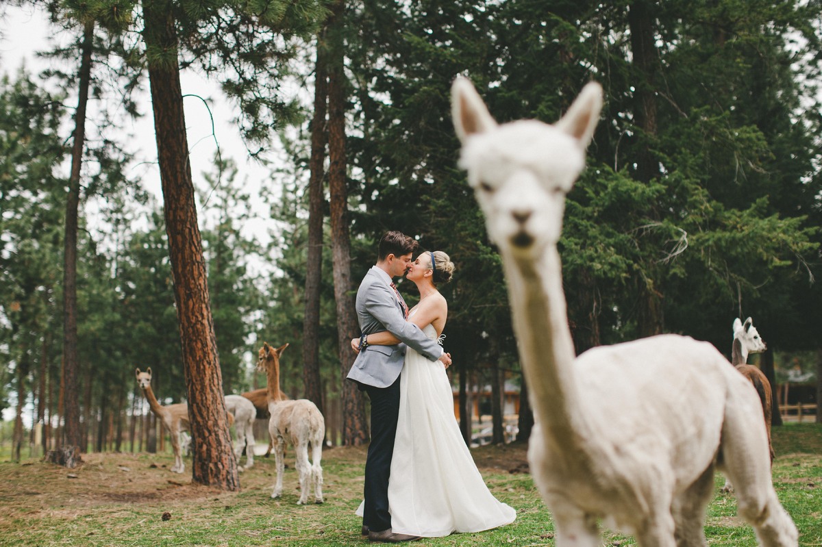 Ezek 2014 legmenőbb esküvői fotói