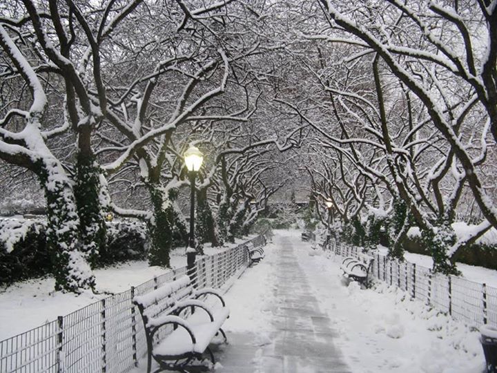 Álomképek: hófehér advent Párizsban