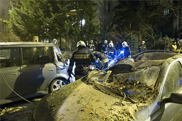 Szombat este kidőlt fa zuhant parkoló autókra a II. kerületben - MTI