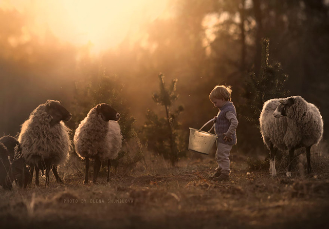 Csodaszép fotókat készít a gyerekeiről és az állataikról egy anyuka - fotó