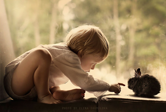 Csodaszép fotókat készít a gyerekeiről és az állataikról egy anyuka - fotó