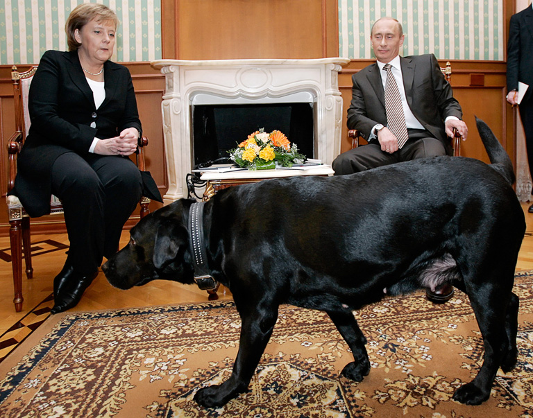 Angela Merkel és Vlagyimir Putyin (Fotó: DMITRY ASTAKHOV/Getty Images)