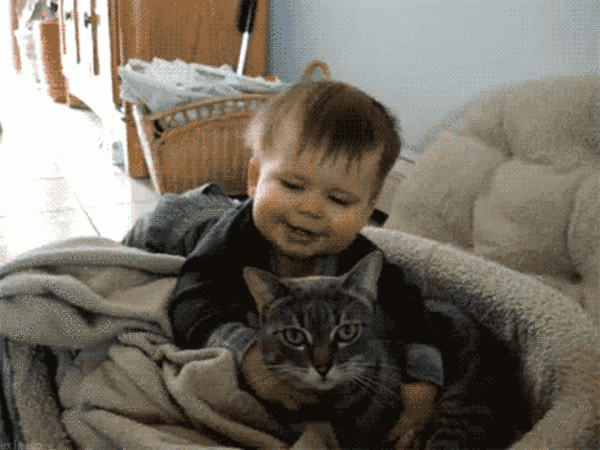 Ha babák és cicák találkoznak, a cukiságmérő az egekbe szökik