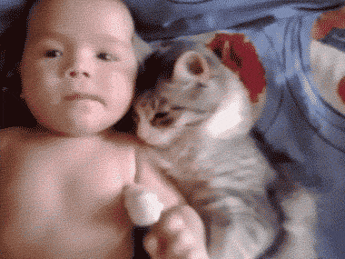 Ha babák és cicák találkoznak, a cukiságmérő az egekbe szökik