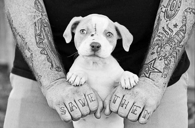 Tetovált emberek és mentett kutyáik állnak ki a sztereotípiák ellen
