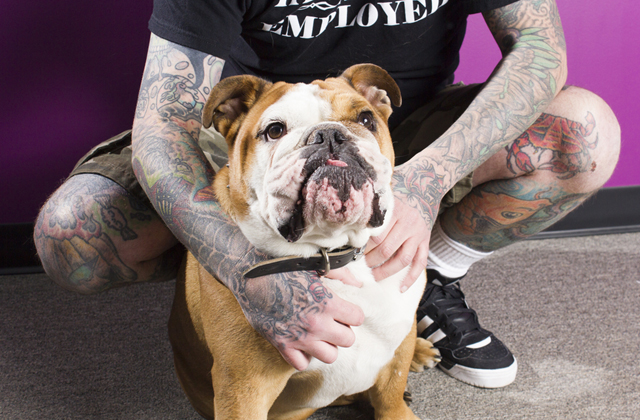 Tetovált emberek és mentett kutyáik állnak ki a sztereotípiák ellen