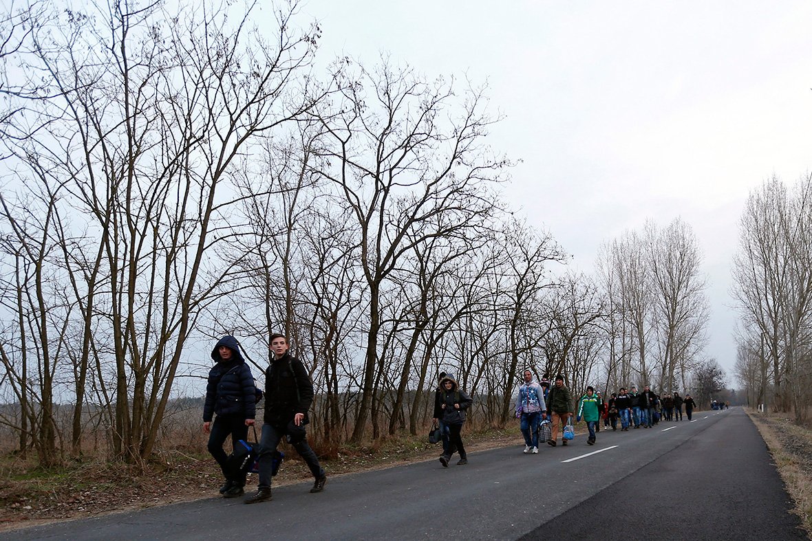 … és elkeseredett illegális határátlépők a szerb-magyar határnál 2015-ben (Fotó: ibtimes.co.uk)