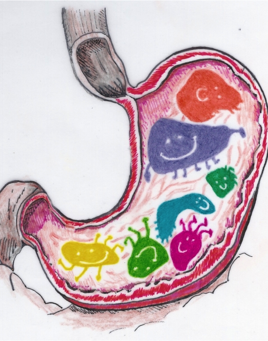 Mire való a prebiotikum az probiotikum és antibiotikum? Mire való a prebiotikum az probiotikum és antibiotikum?