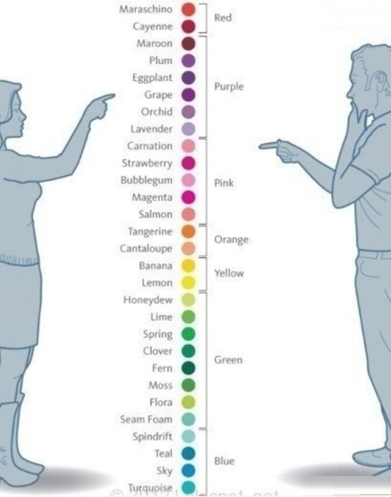Így látják a nők és a férfiak a színeket
