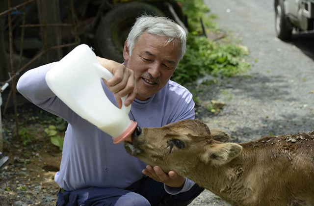 Ő gondozza Fukusima hátrahagyott állatait - megható fotók