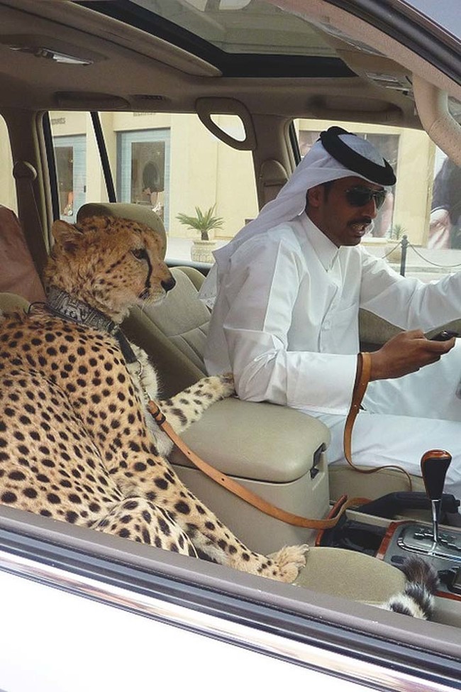 15 kép, ami bebizonyítja, hogy Dubaj a világ egyik legőrültebb városa