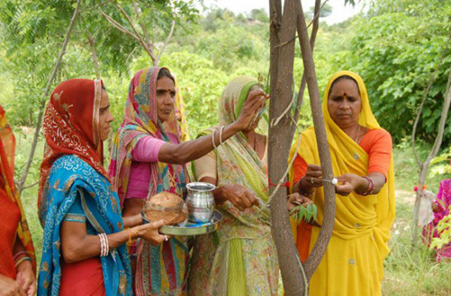 111 fát ültetnek, ha kislány születik a faluban