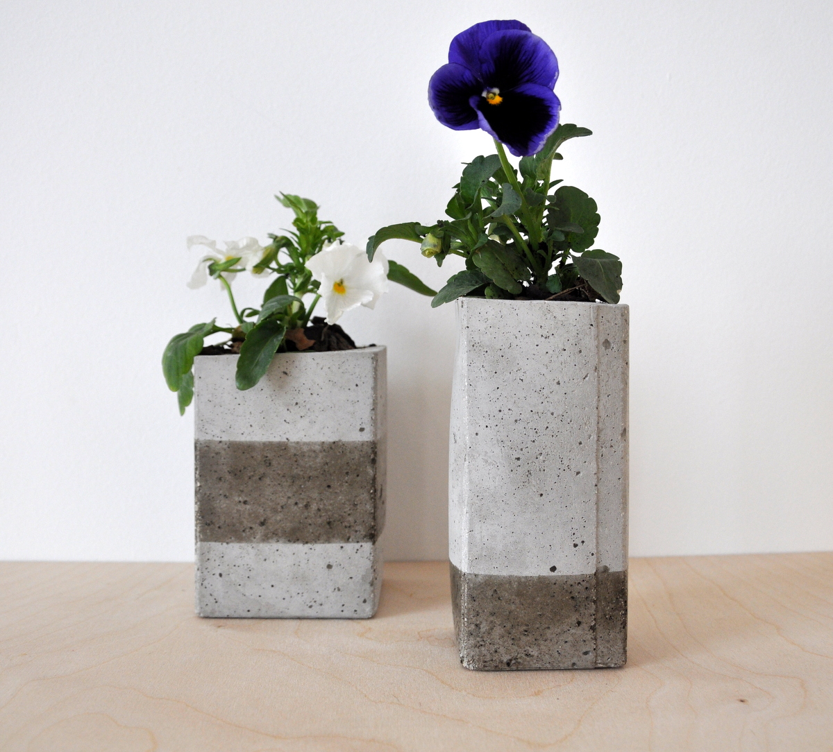 Készíts csodás betonkaspót a virágaidnak!