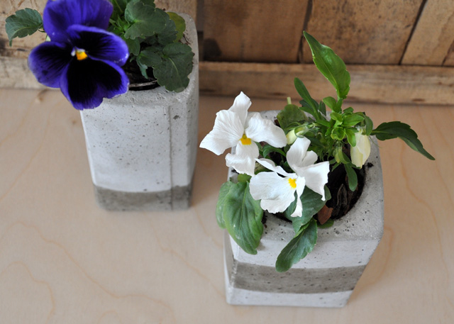Készíts csodás betonkaspót a virágaidnak!