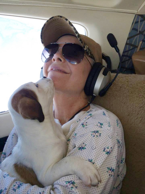 Repülővel viszik a gazdihoz a menhelyi kutyákat - képek