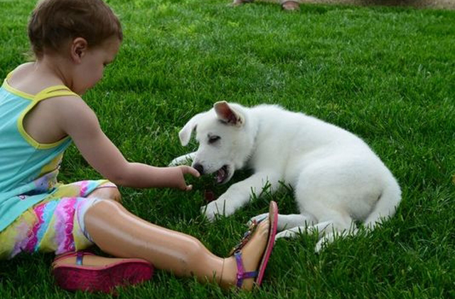 Hiányzó mancsú kutyát kapott az amputált lábfejű kislány 