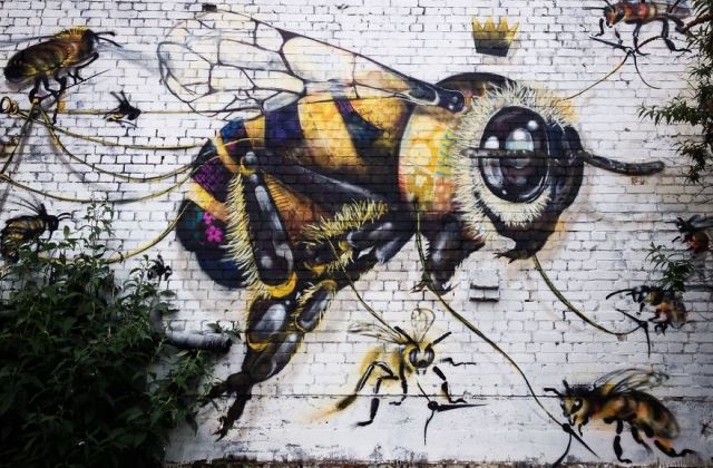 Mentsd meg a méheket! Káprázatos falfirkákat készít egy művész