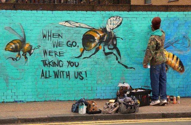 Mentsd meg a méheket! Káprázatos falfirkákat készít egy művész
