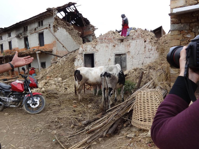 Szívszorító fotók: állatok, akik túlélték a nepáli földrengést 