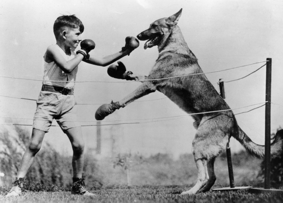 10 bizonyíték arra, hogy az állatszeretők már az 1920-as években is őrültek voltak 