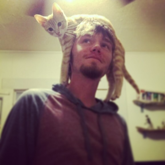 Ezek a macskák kalapnak képzelik magukat - fotók