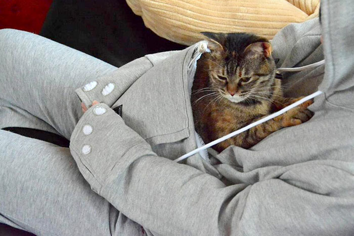 Hordd magadon a macskád! Feltalálták a világ első macskapulcsiját