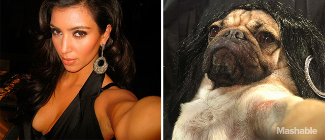 Ilyen lenne, ha Kim Kardashian kutya lenne - fotók