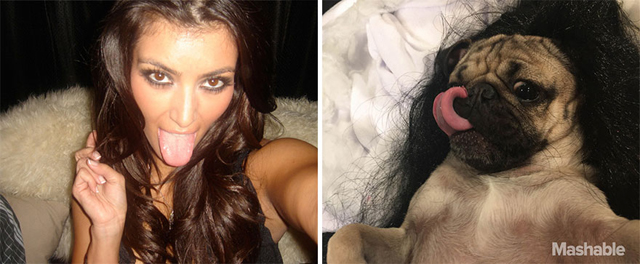 Ilyen lenne, ha Kim Kardashian kutya lenne - fotók