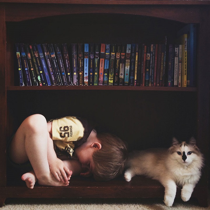 Csodás képeket készít egy anyuka kisfiairól és macskáiról